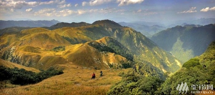 (1)11月28-30日 船底頂觀日出、賞大草坡、穿越奇山峻嶺-戶外活動圖-駝鈴網